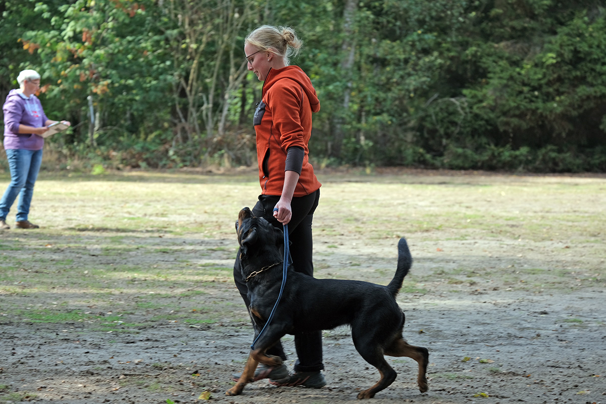 Verena mit Texa