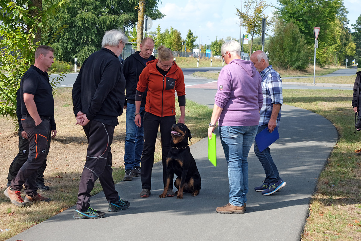 Verena mit Texa (Straßenteil)