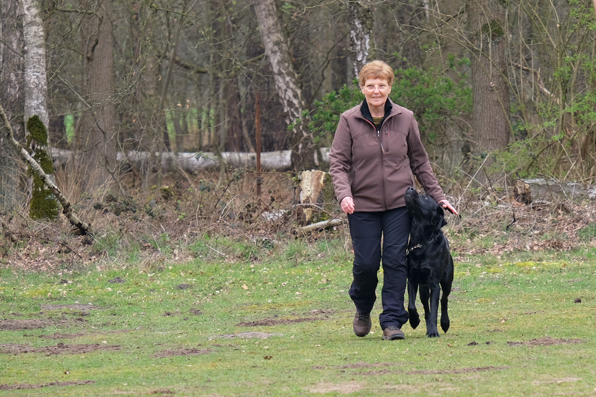 Iris mit Rufus