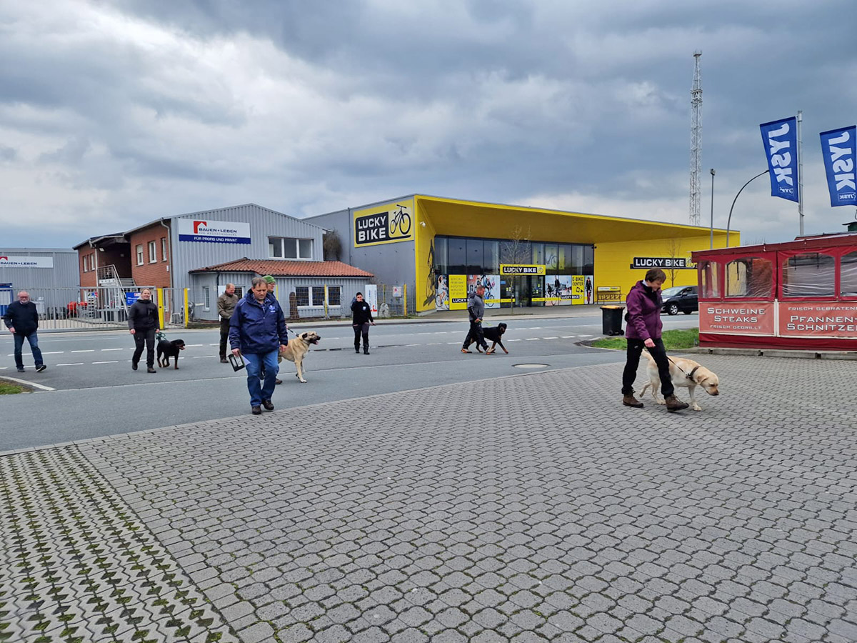 Verkehrsteil der Begleithundeprüfung