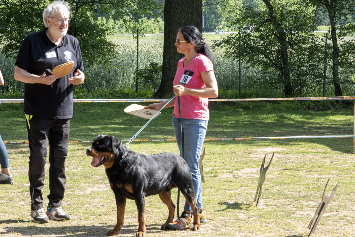 Westfalensieger_Kumo vom Hardebuscher Hof